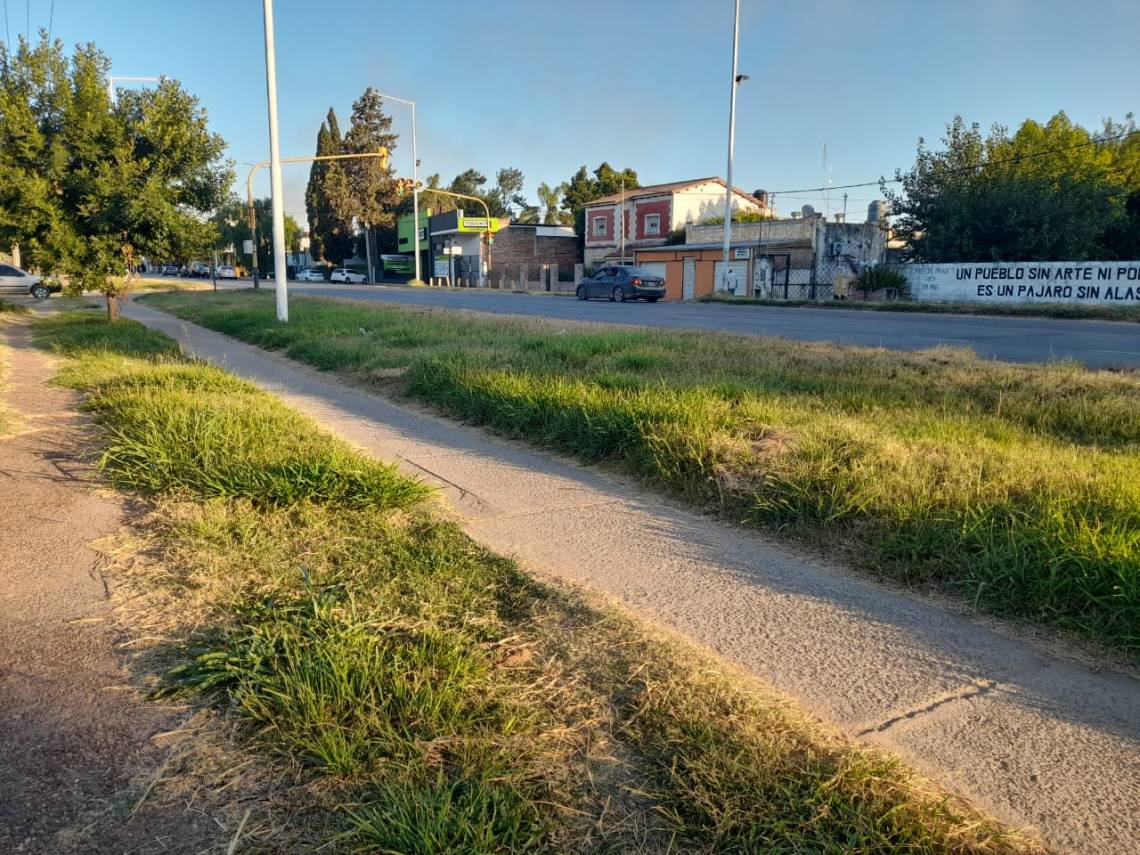 Sendero de la Ruta 19: hace siete meses, el Concejo aprobó un pedido para el Municipio se ocupe del mantenimiento