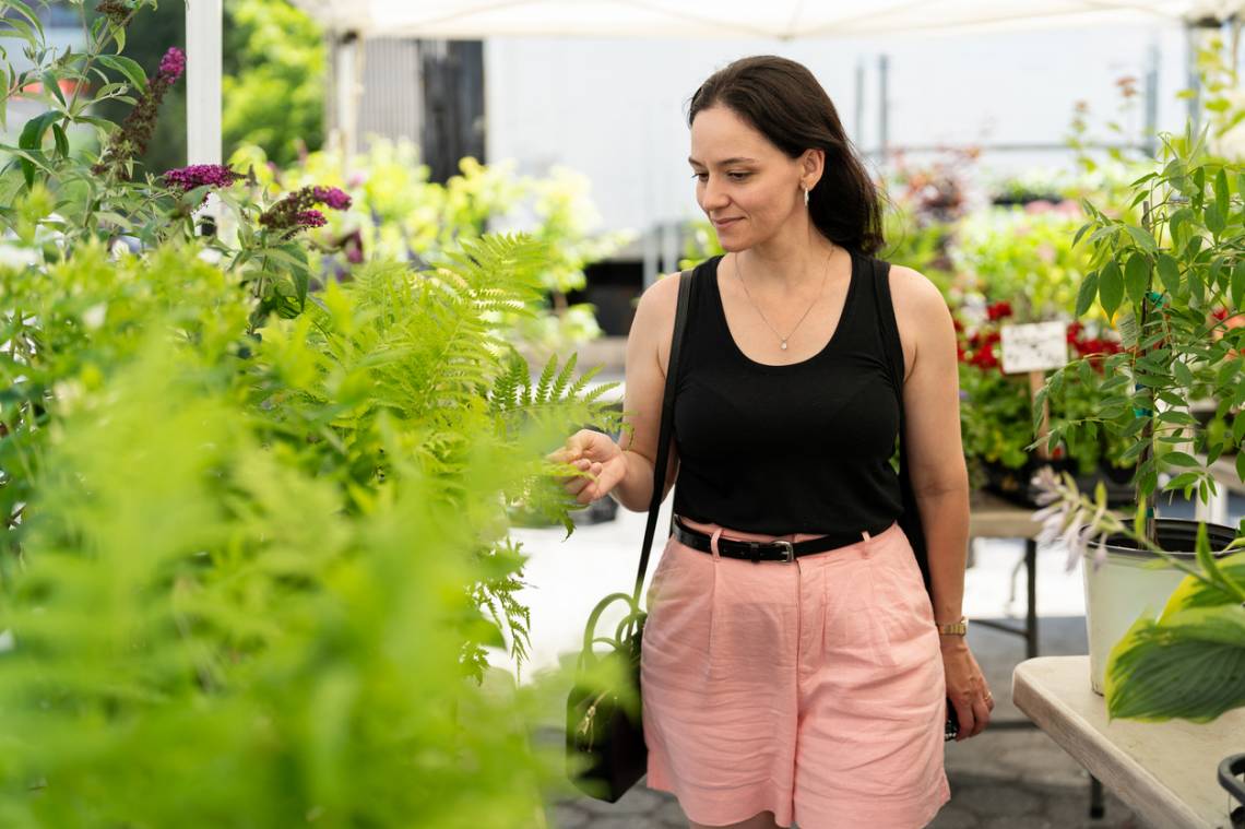 La primera Eco Feria se realizará este sábado en el anfiteatro