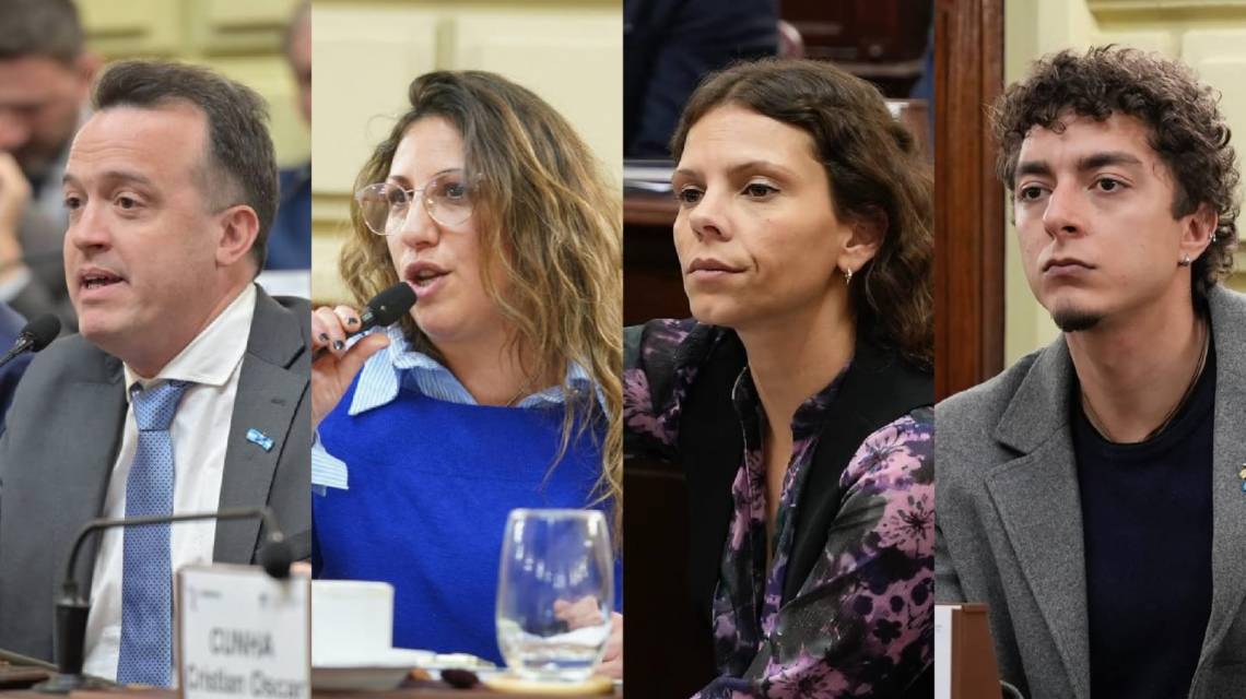 Reforma 2.0: el Partido Socialista lanzó una herramienta interactiva para explorar su propuesta constitucional