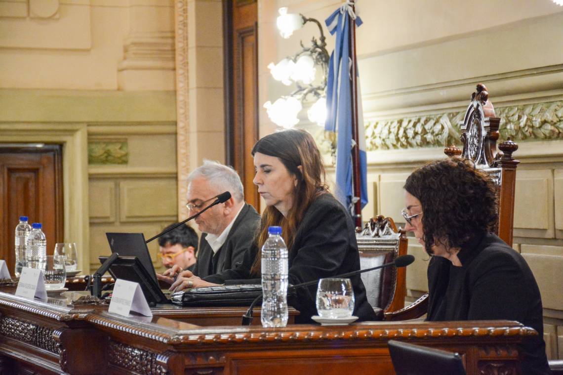 Malvinas, Seguridad y Participación: los ejes de los 11 dictámenes emitidos por la Comisión de Funcionamiento del Estado