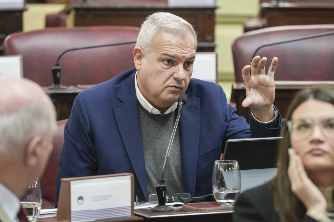 Pablo Farías: “Vamos a tener un texto constitucional con instancias de participación más allá del voto”