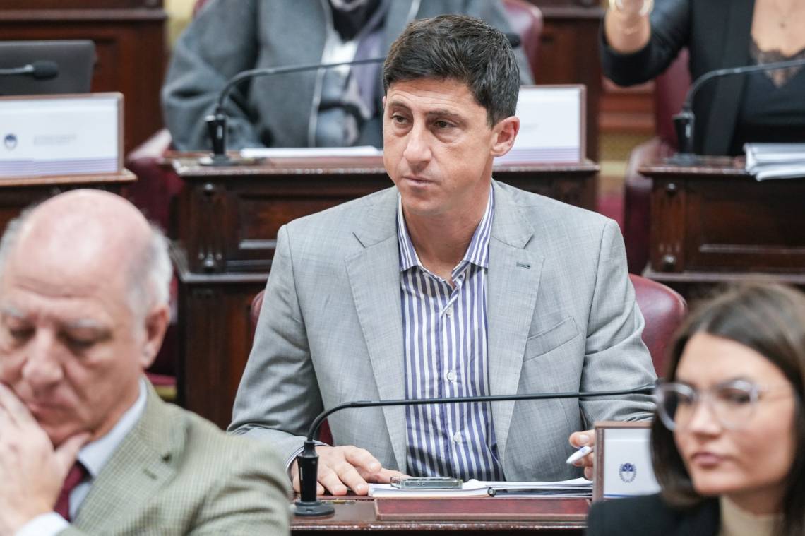 Paco Garibaldi: “Queremos una Constitución con más participación y control ciudadano”