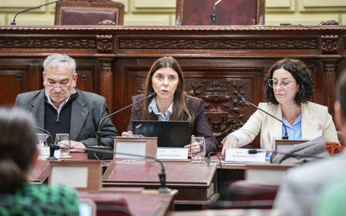 Caja de Jubilaciones: los dictámenes que anticipan la votación