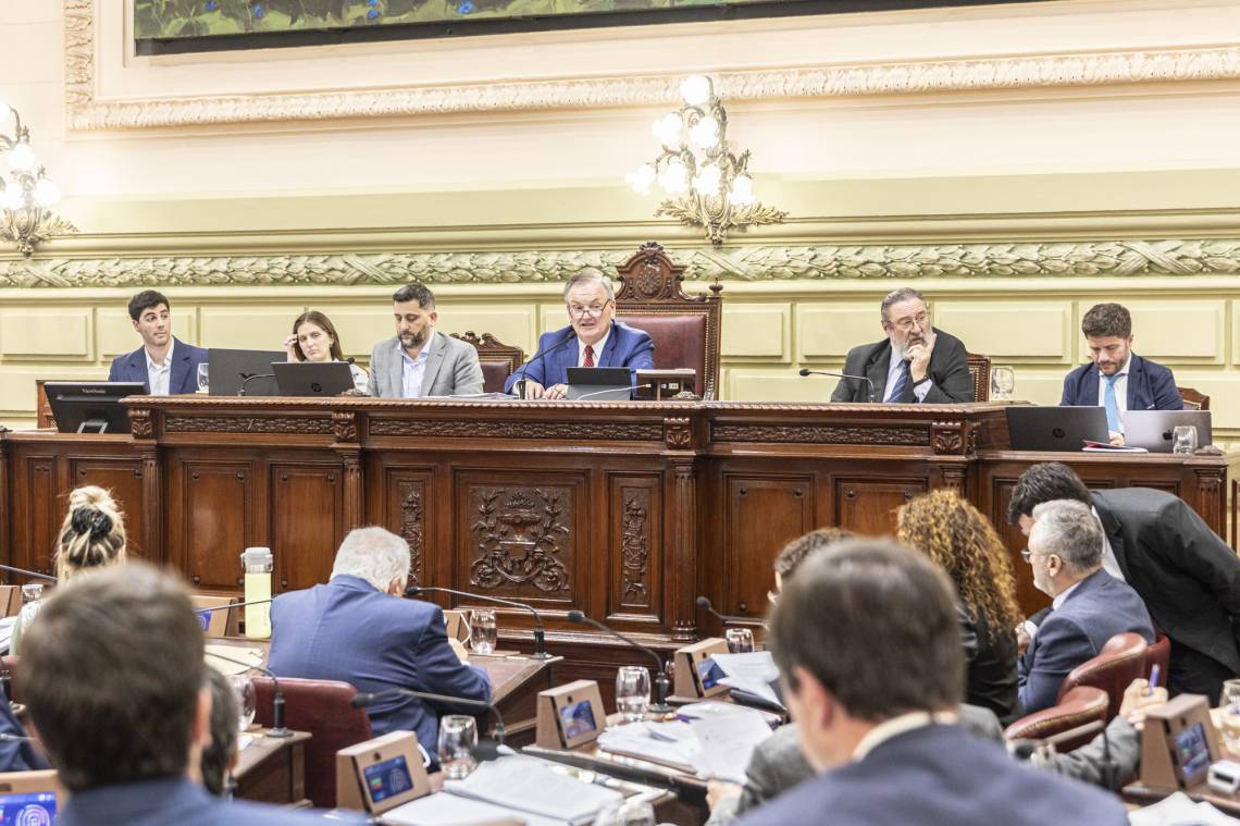 La Convención aprobó la intransferibilidad de la Caja y sumó nuevas cláusulas a la Constitución