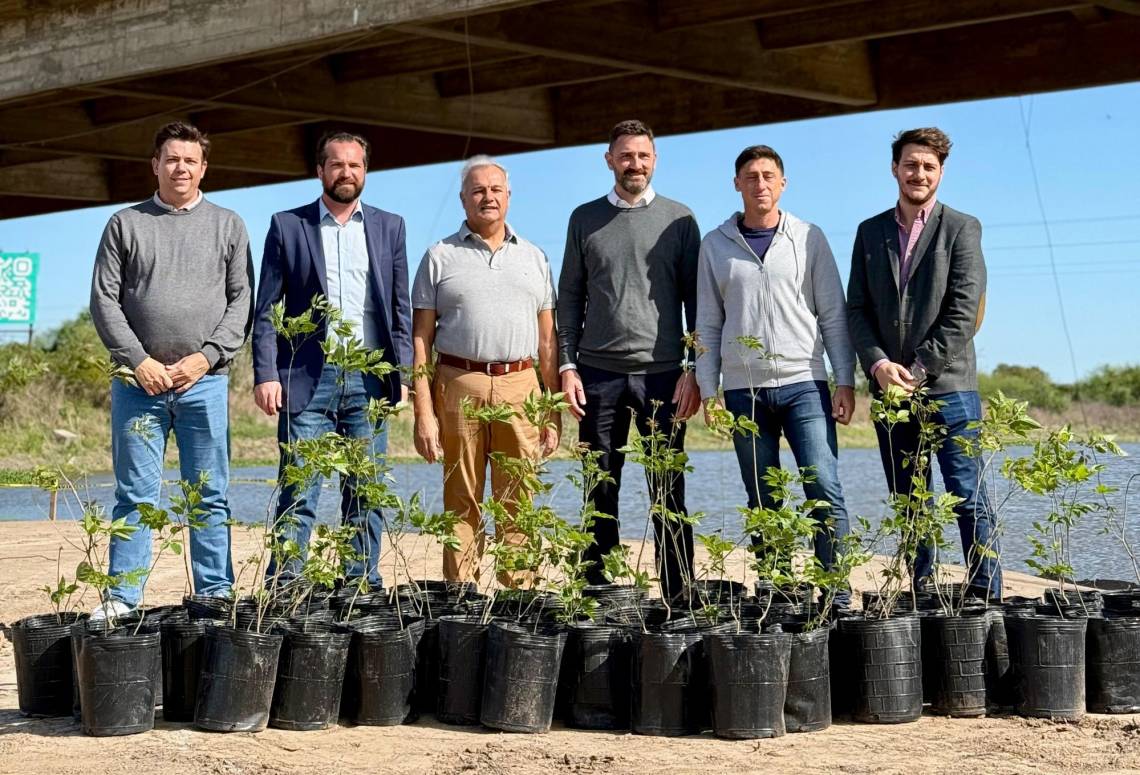 La ciudad recibió 100 lapachos rescatados en la obra del nuevo puente
