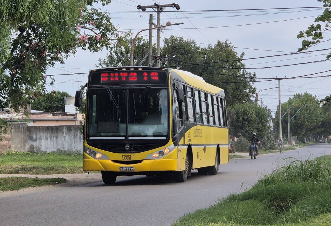 Advierten que podría suspenderse el ramal Ruta 19 de la línea C Azul por un importante déficit financiero