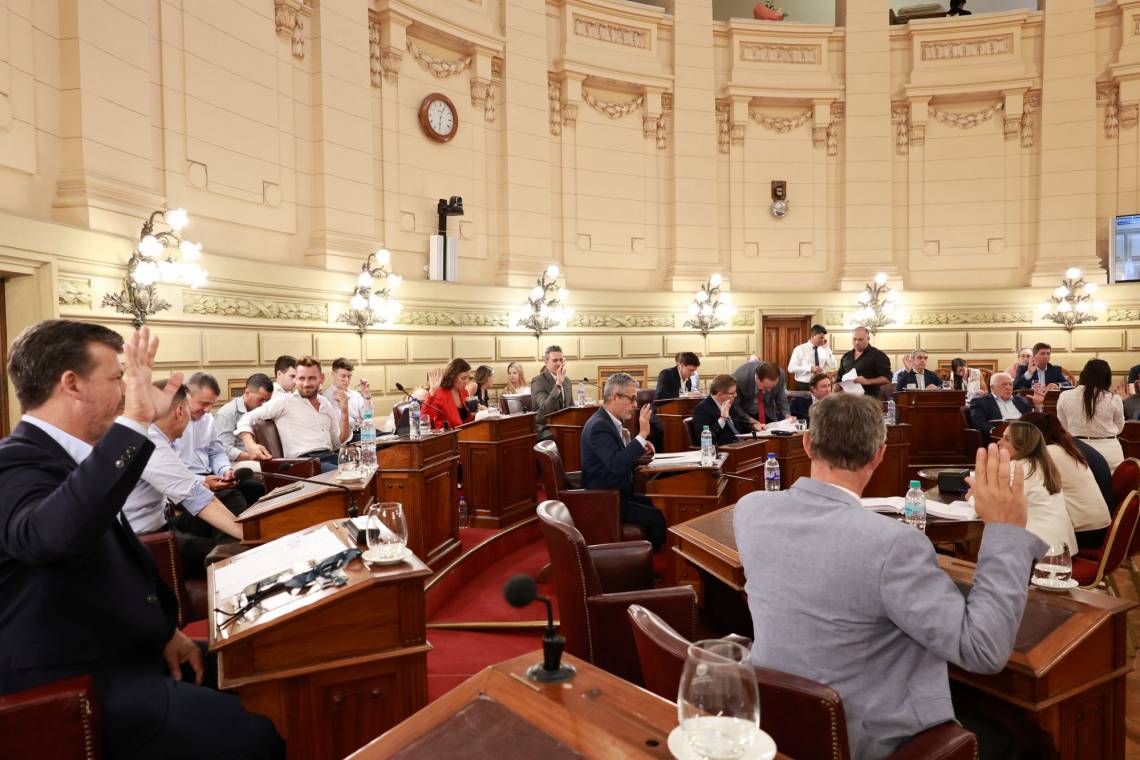 Con apoyo de todos los bloques, el Senado dio sanción definitiva al Presupuesto 2026. (Foto: Senado)