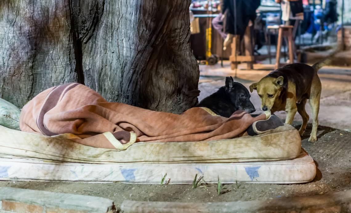 Según Capital Humano, la pobreza cayó al 27,5% y es la más baja desde 2018. (Crédito: Gabriel Pacce)