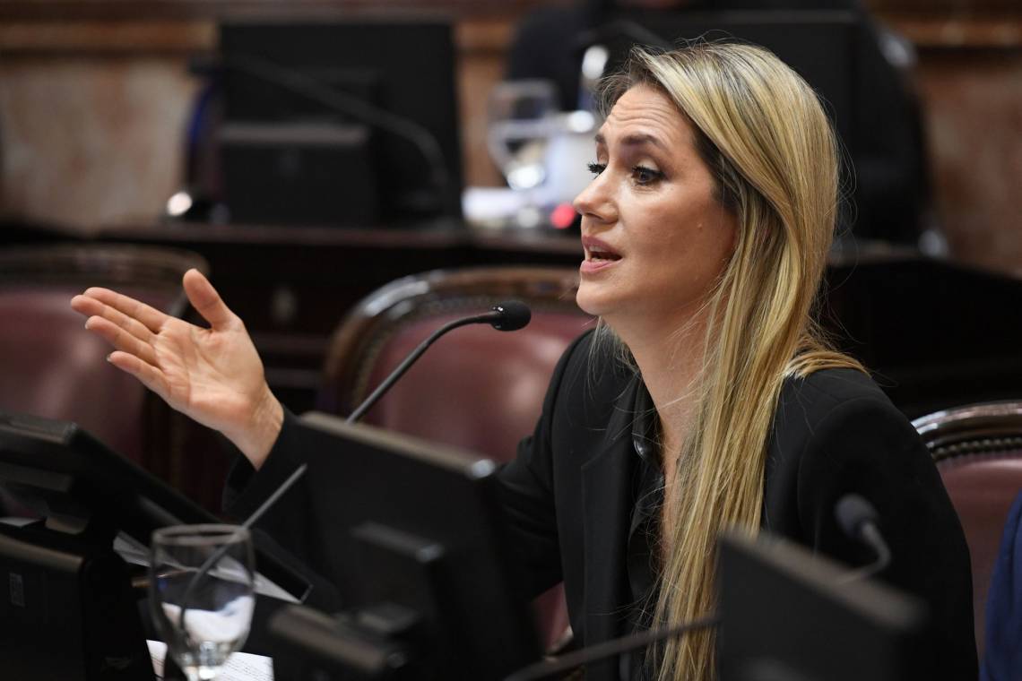 La senadora Carolina Losada defendió la reforma laboral y cuestionó “el relato del miedo”.