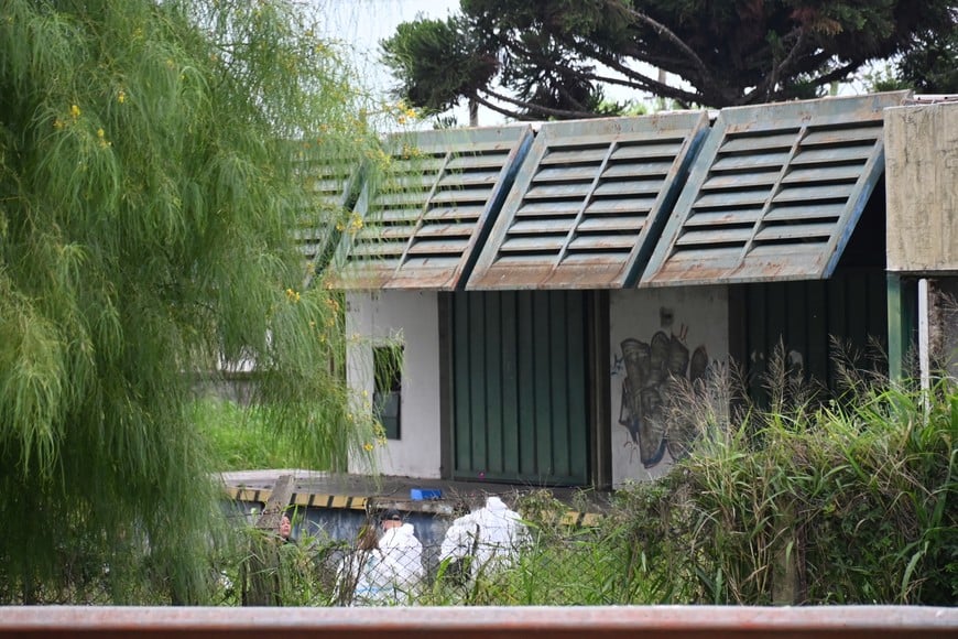 Crimen de Jeremías Monzón: detuvieron a tres menores, entre ellos la chica con la que estuvo el día de su desaparición