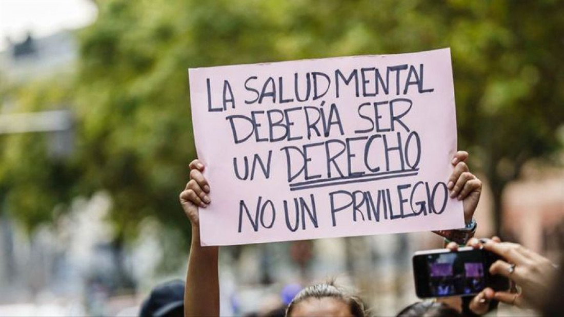 Santa Fe y otras 10 provincias reclaman a Nación la vuelta del Consejo Federal de Salud Mental