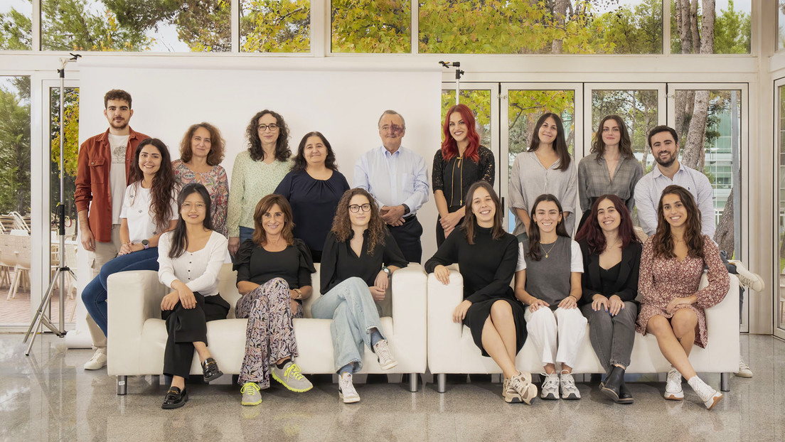 Científicos españoles logran eliminar tumores de páncreas en ratones con una nueva terapia experimental