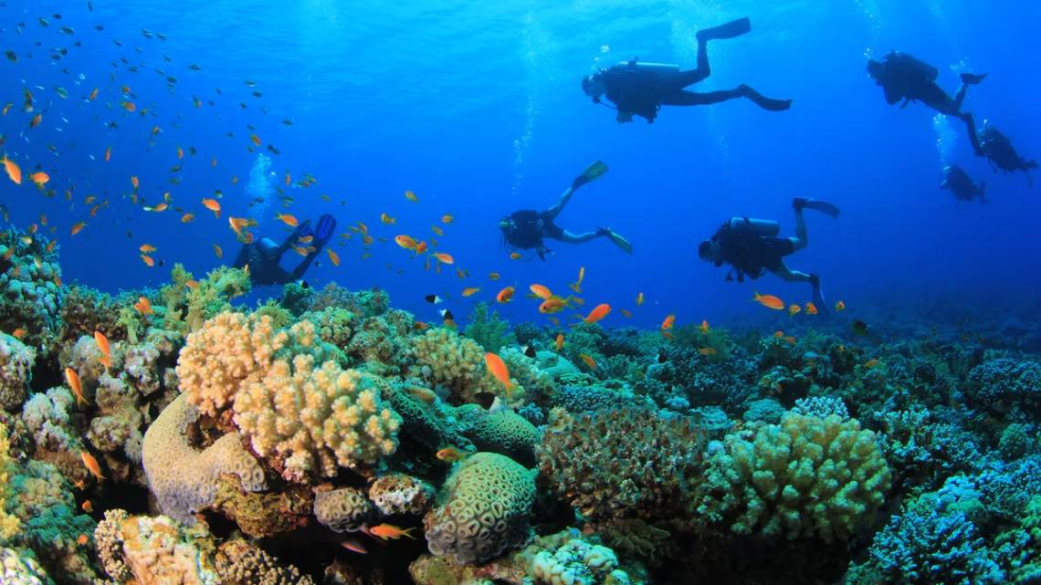 Tragedia en Maldivas: murieron cinco turistas italianos durante una excursión de buceo