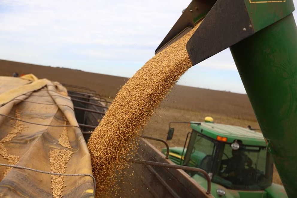Anuncian una baja progresiva de retenciones para el agro