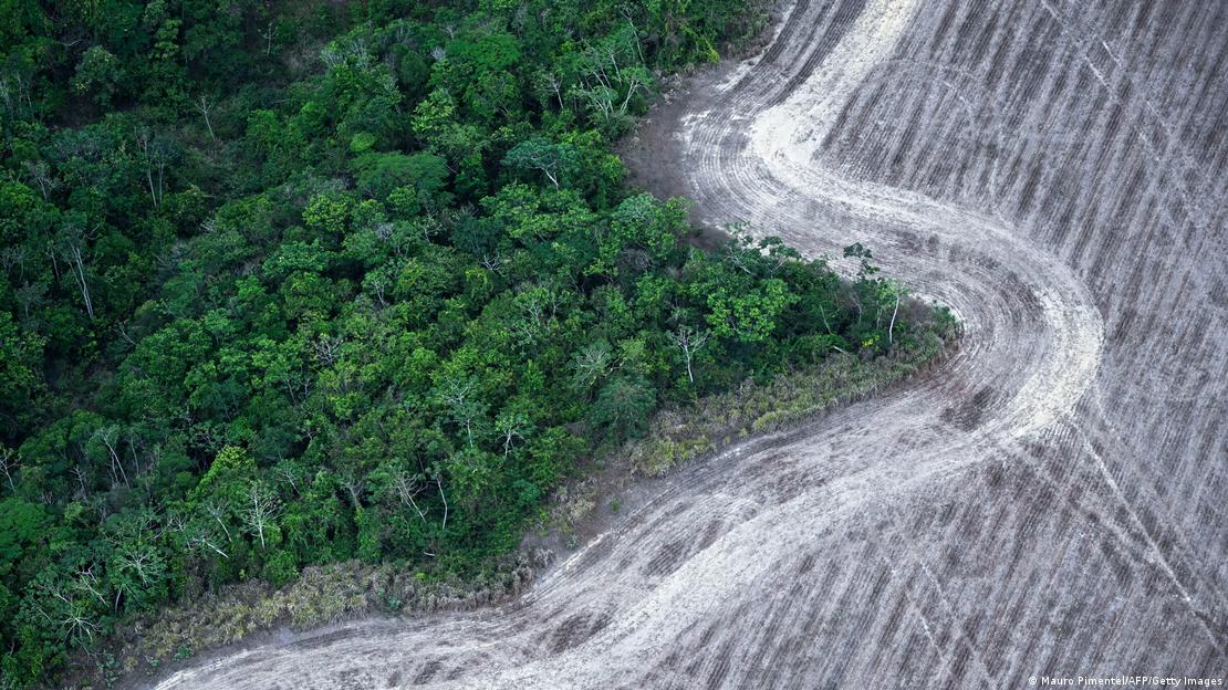 Brasil perdió millones de hectáreas de vegetación y crece su vulnerabilidad ante eventos climáticos extremos