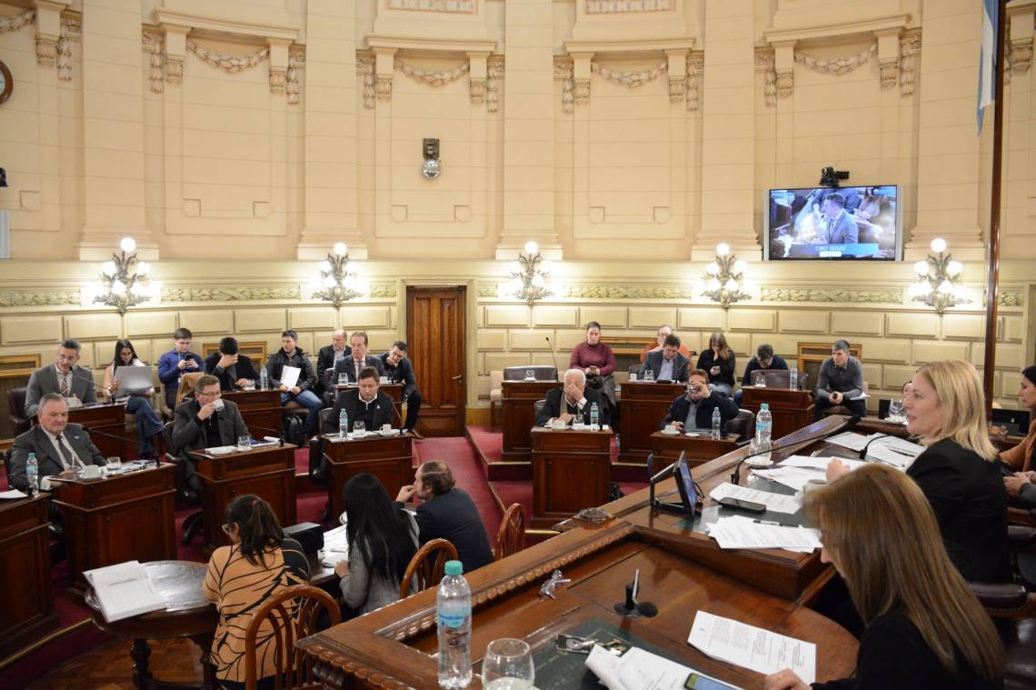 Emergencia en salud, educación y alimentación: la medida seguirá vigente hasta 2026. (Crédito: Senado)