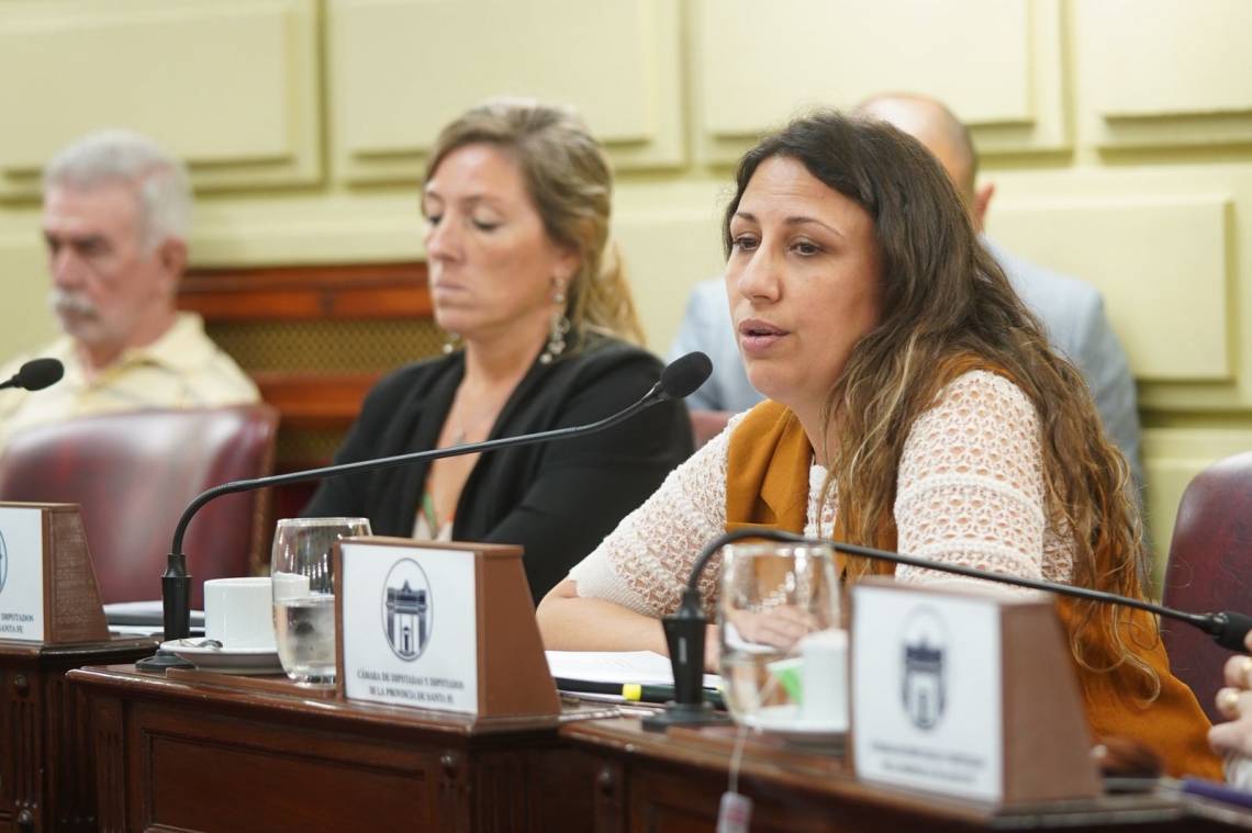Varinia Drisun, autora del proyecto de comunicación. (Crédito: Prensa Diputados)