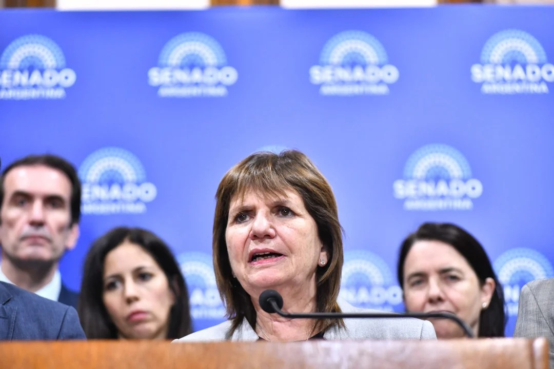 La Senadora Patricia Bullrich. (Crédito: NA)