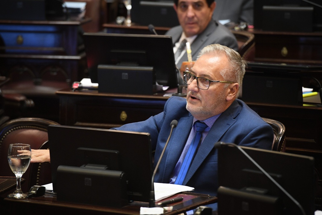 El senador Lewandowski cuestionó el proyecto de reforma laboral impulsado por el Ejecutivo.