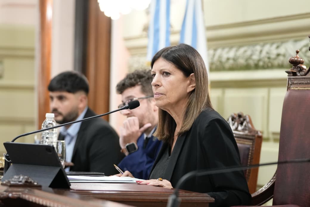La Cámara baja provincial reeligió a Clara García como presidenta. (Crédito: Prensa Diputados)