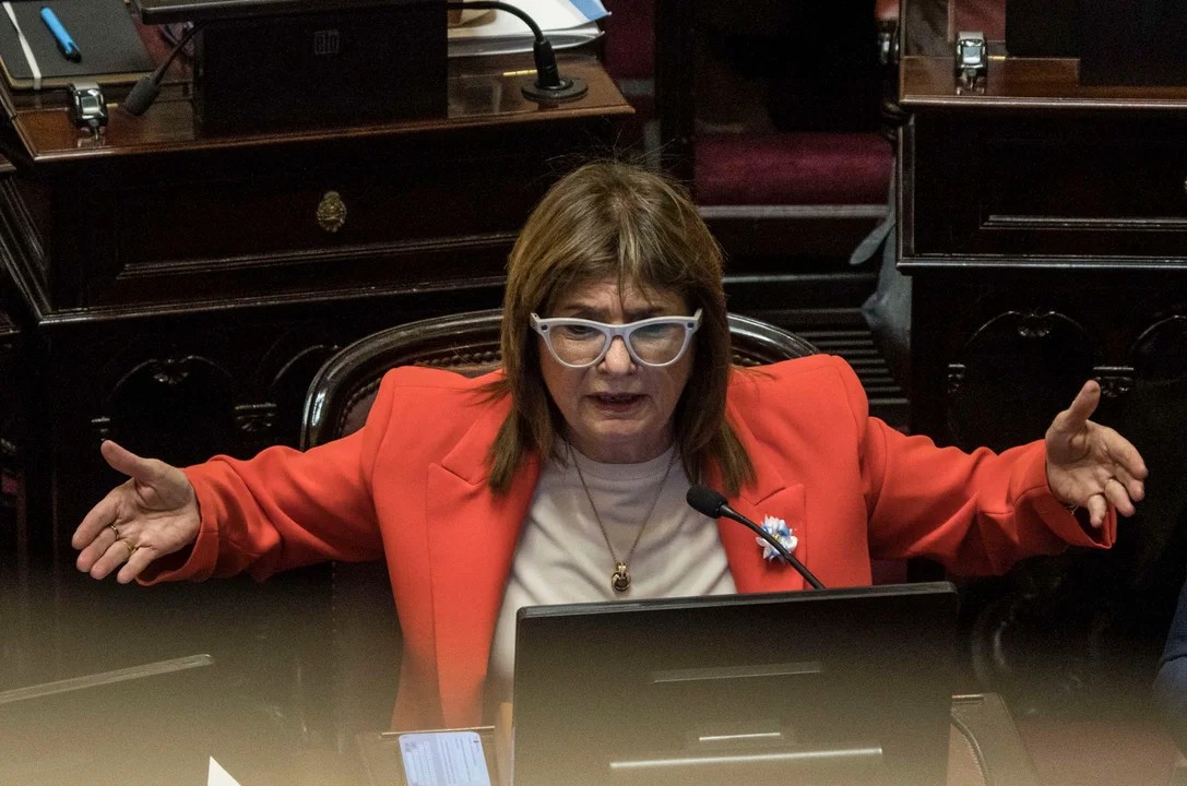 Patricia Bullrich en el Senado.