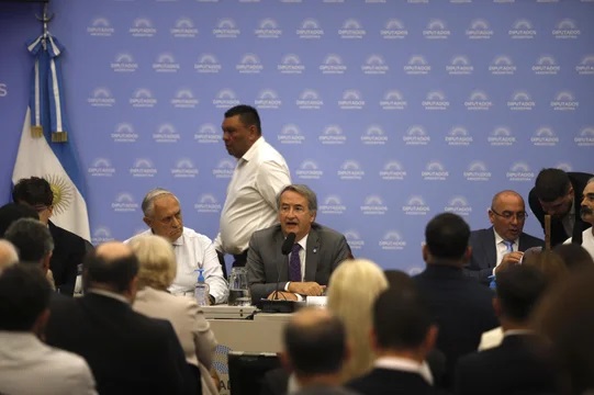 El debate por la Ley de Glaciares continúa con dos jornadas de audiencias públicas.