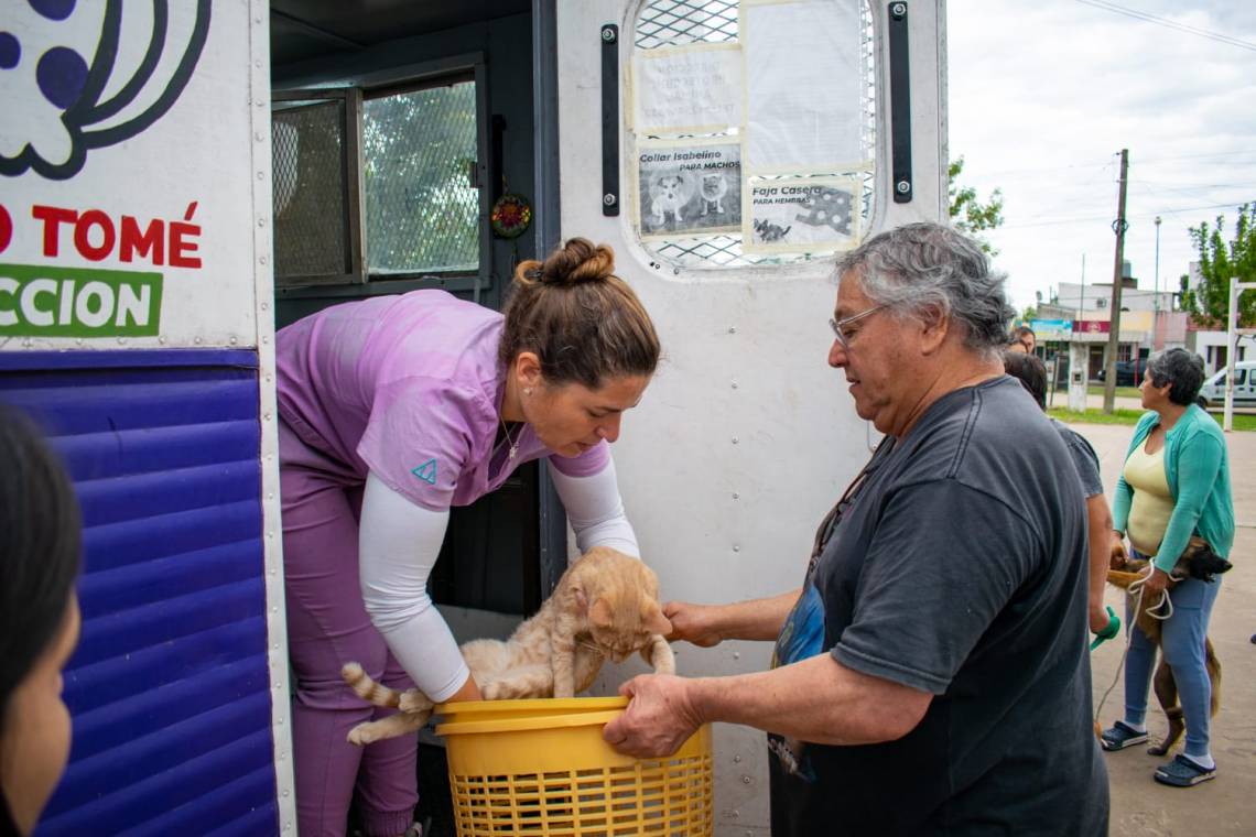 Operativo de salud animal en Vecinal Oeste: más de 250 intervenciones. (Foto: MST)