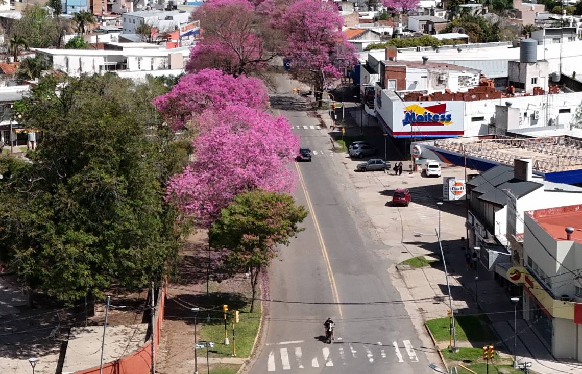 El hecho ocurrió en Avenida Luján al 2200, en pleno centro de la ciudad. (Crédito: STD)