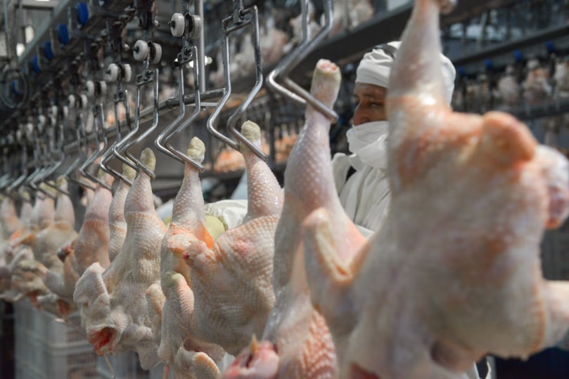 Con casi 50 kilos por habitante por año, el pollo se convirtió en la carne más consumida en Argentina.