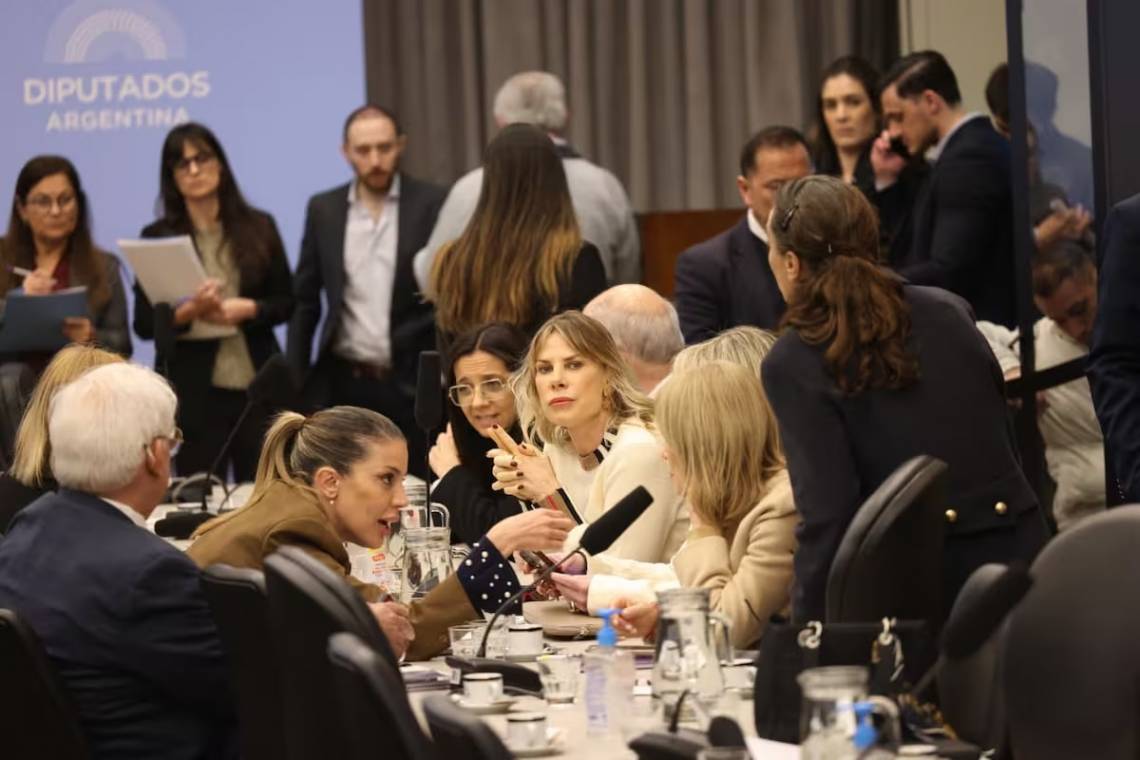 Fuerte tensión en Diputados por los cambios en discapacidad que propone el Presupuesto 2027. (Crédito: La Nación)