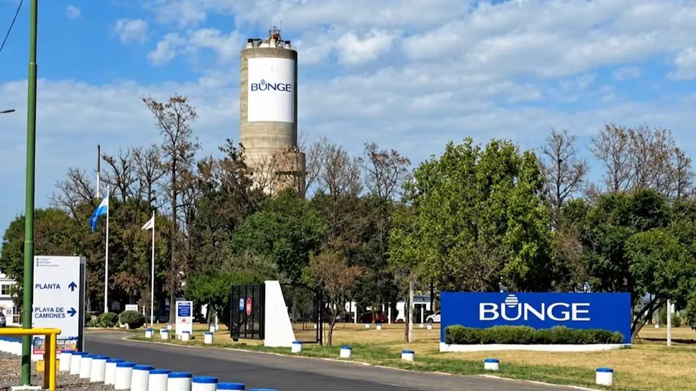 Bunge anunció el cese de dos producciones industriales y 110 despidos en Campana.